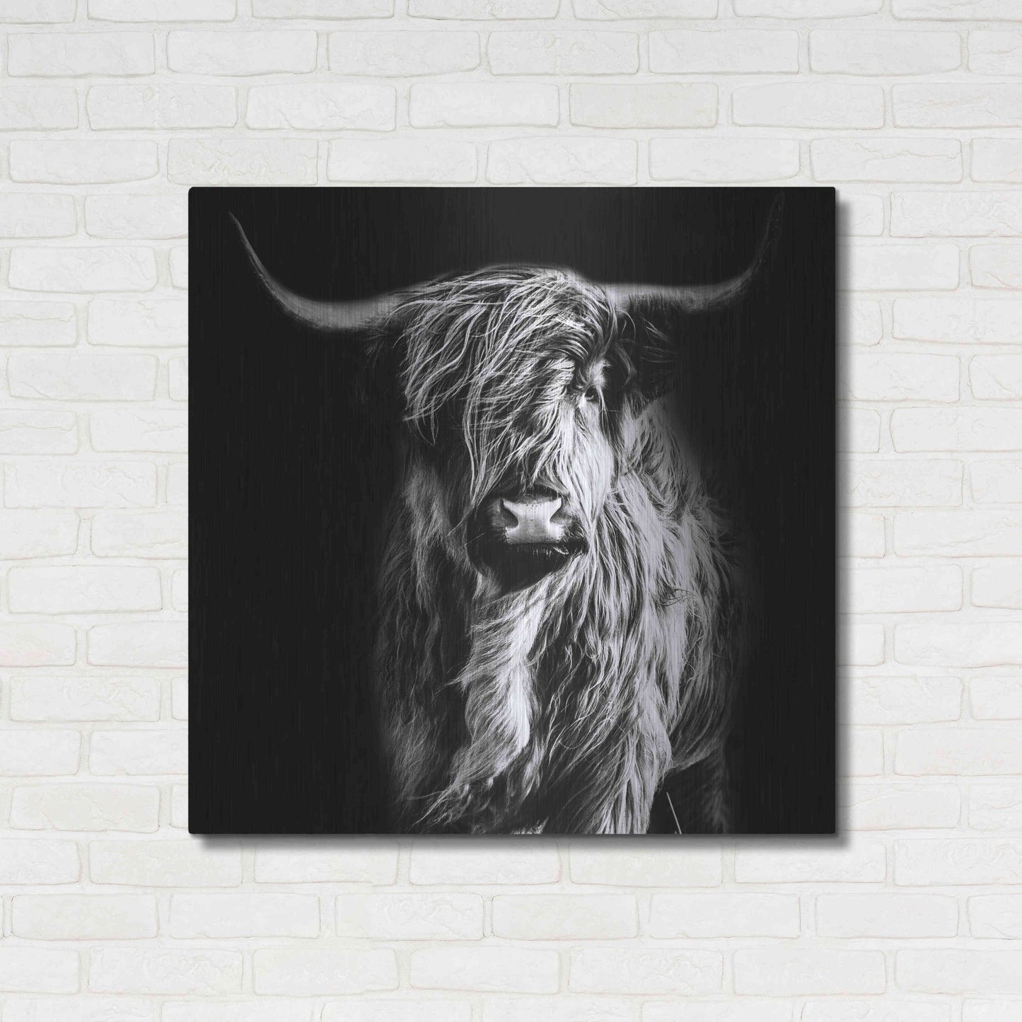 Luxe Metal Art 'Hippy Highland Cow' by Epic Portfolio Metal Wall Art,36x36