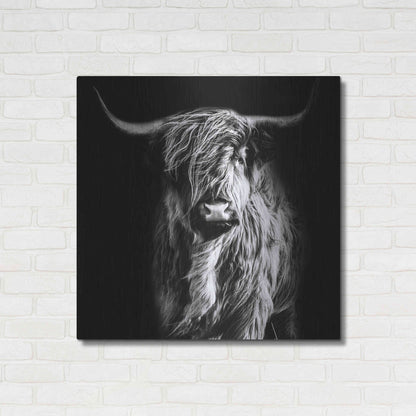 Luxe Metal Art 'Hippy Highland Cow' by Epic Portfolio Metal Wall Art,36x36