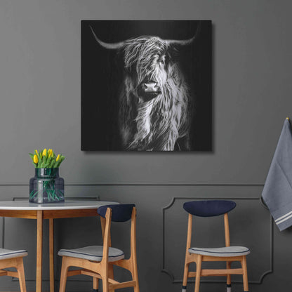 Luxe Metal Art 'Hippy Highland Cow' by Epic Portfolio Metal Wall Art,36x36