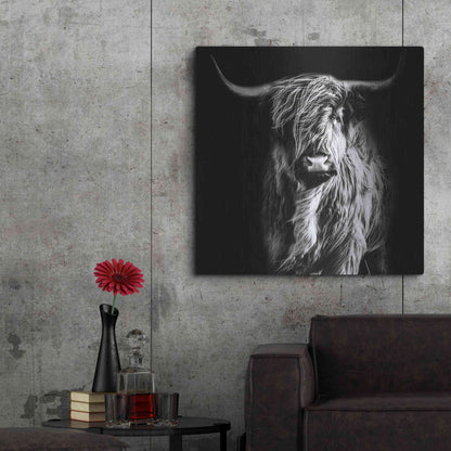 Luxe Metal Art 'Hippy Highland Cow' by Epic Portfolio Metal Wall Art,36x36