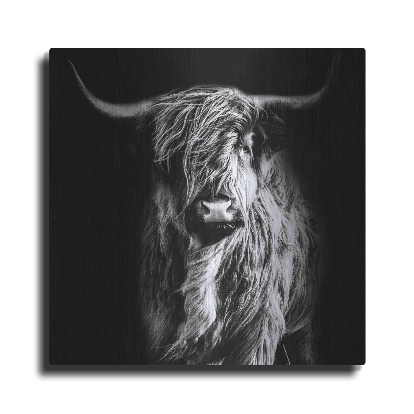 Luxe Metal Art 'Hippy Highland Cow' by Epic Portfolio Metal Wall Art