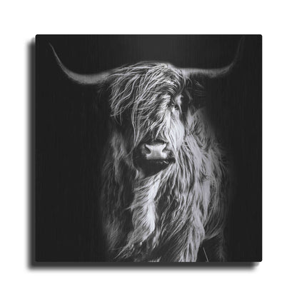Luxe Metal Art 'Hippy Highland Cow' by Epic Portfolio Metal Wall Art