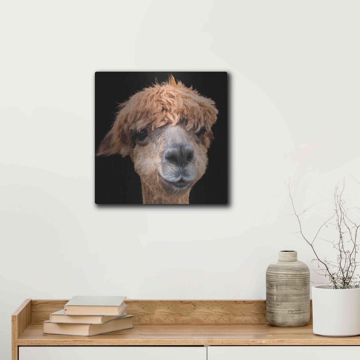 Luxe Metal Art 'Hippy Lama' by Epic Portfolio Metal Wall Art,12x12