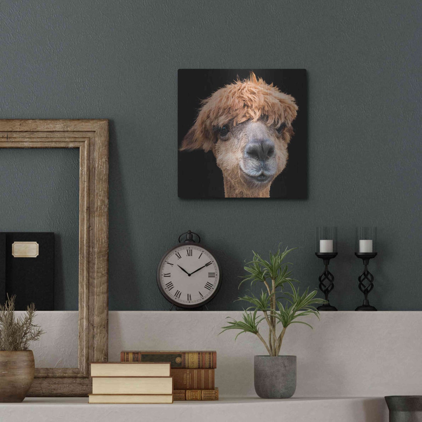 Luxe Metal Art 'Hippy Lama' by Epic Portfolio Metal Wall Art,12x12