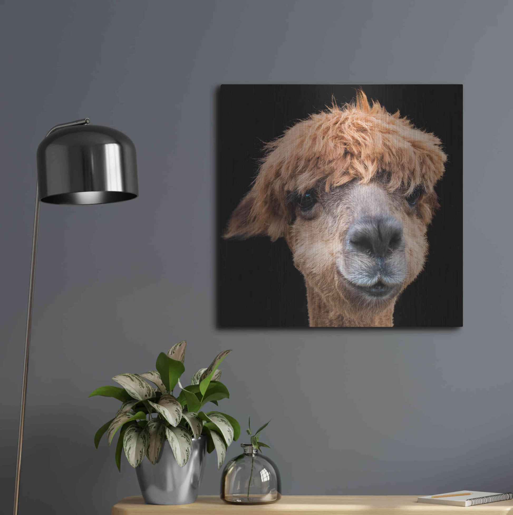 Luxe Metal Art 'Hippy Lama' by Epic Portfolio Metal Wall Art,24x24