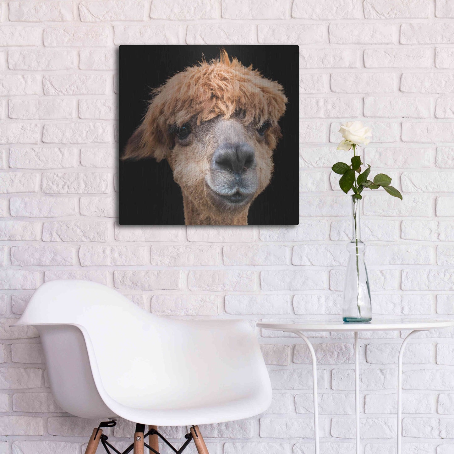 Luxe Metal Art 'Hippy Lama' by Epic Portfolio Metal Wall Art,24x24