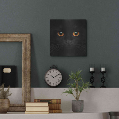 Luxe Metal Art 'Hunter' by Epic Portfolio Metal Wall Art,12x12