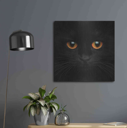 Luxe Metal Art 'Hunter' by Epic Portfolio Metal Wall Art,24x24