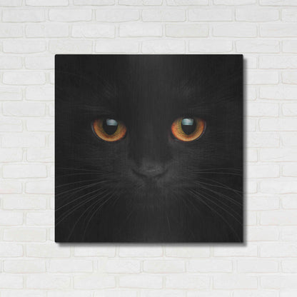 Luxe Metal Art 'Hunter' by Epic Portfolio Metal Wall Art,36x36