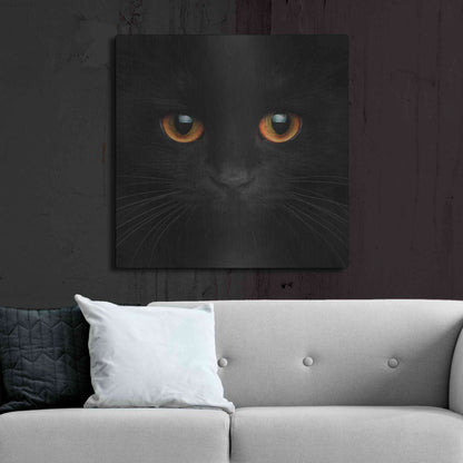 Luxe Metal Art 'Hunter' by Epic Portfolio Metal Wall Art,36x36