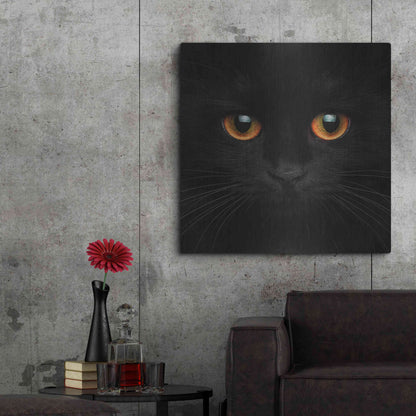 Luxe Metal Art 'Hunter' by Epic Portfolio Metal Wall Art,36x36