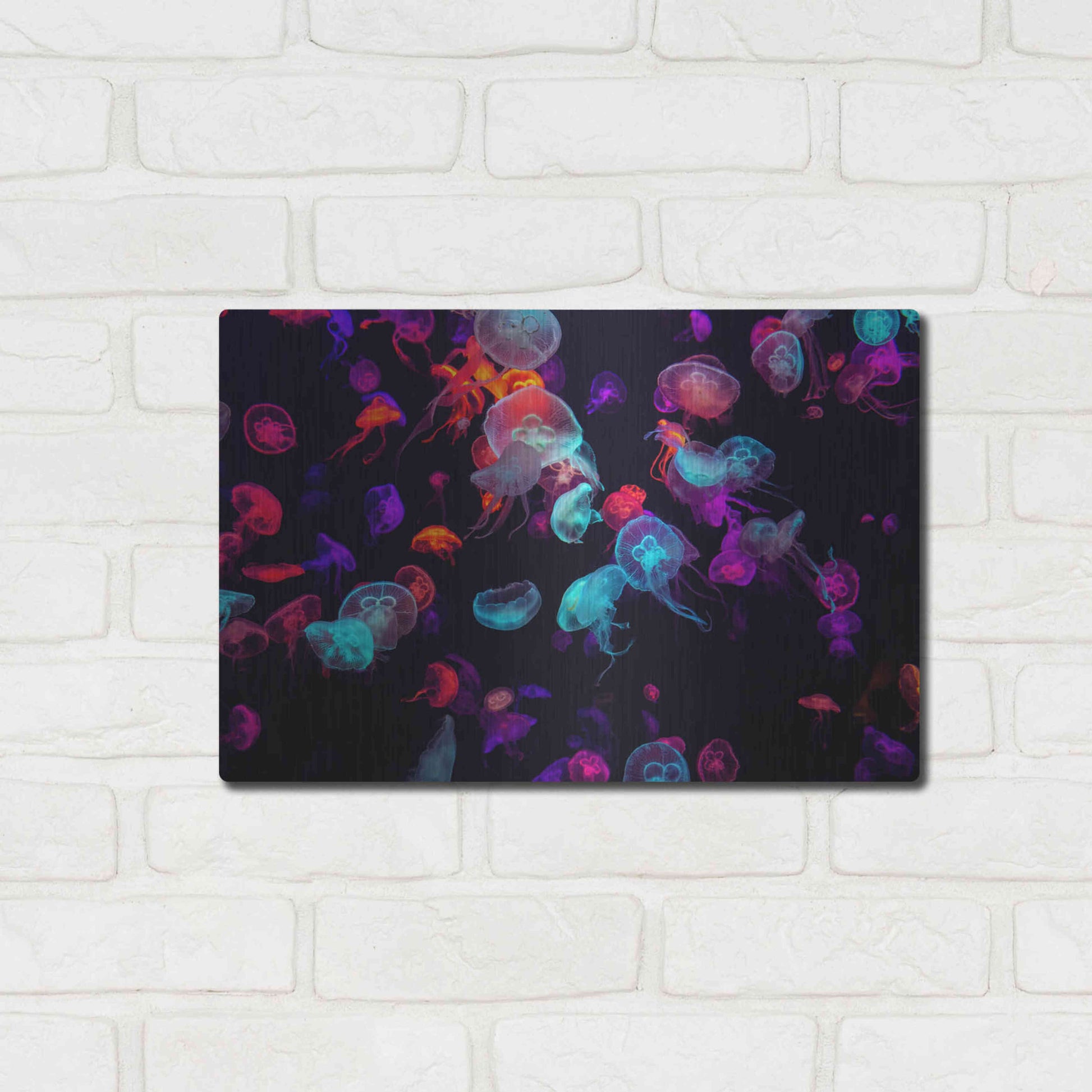 Luxe Metal Art 'Jelly Fish World' by Epic Portfolio Metal Wall Art,16x12