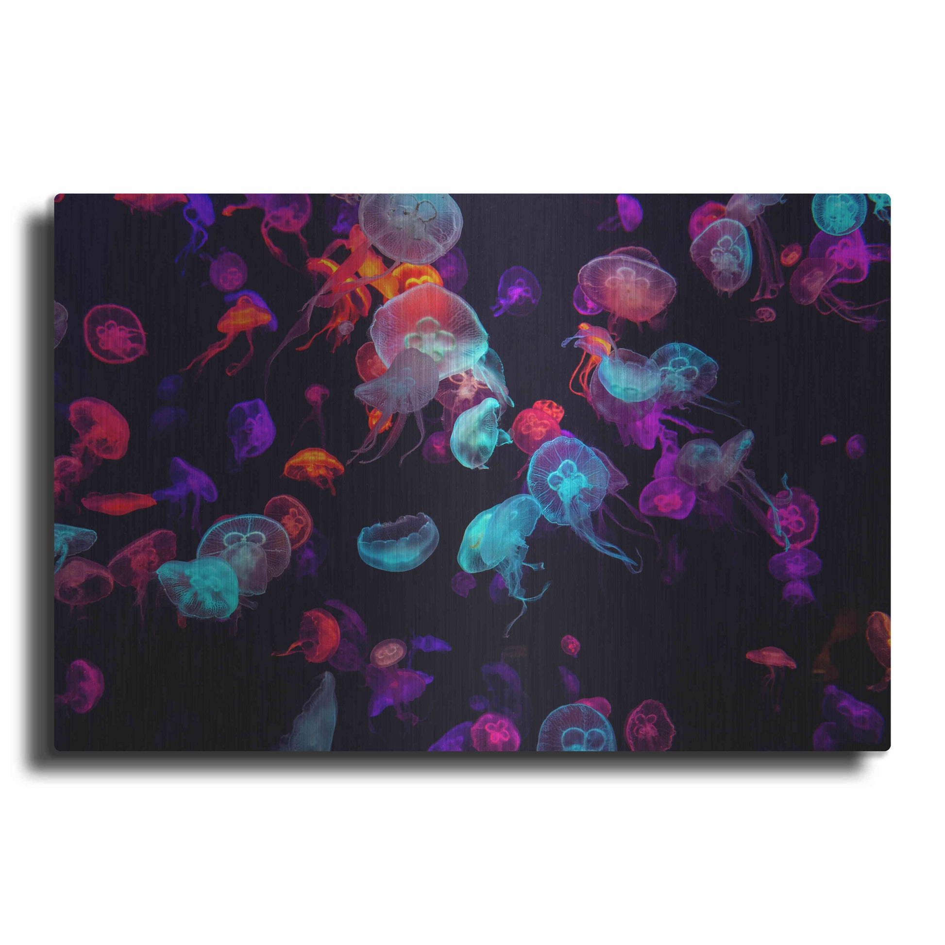 Luxe Metal Art 'Jelly Fish World' by Epic Portfolio Metal Wall Art