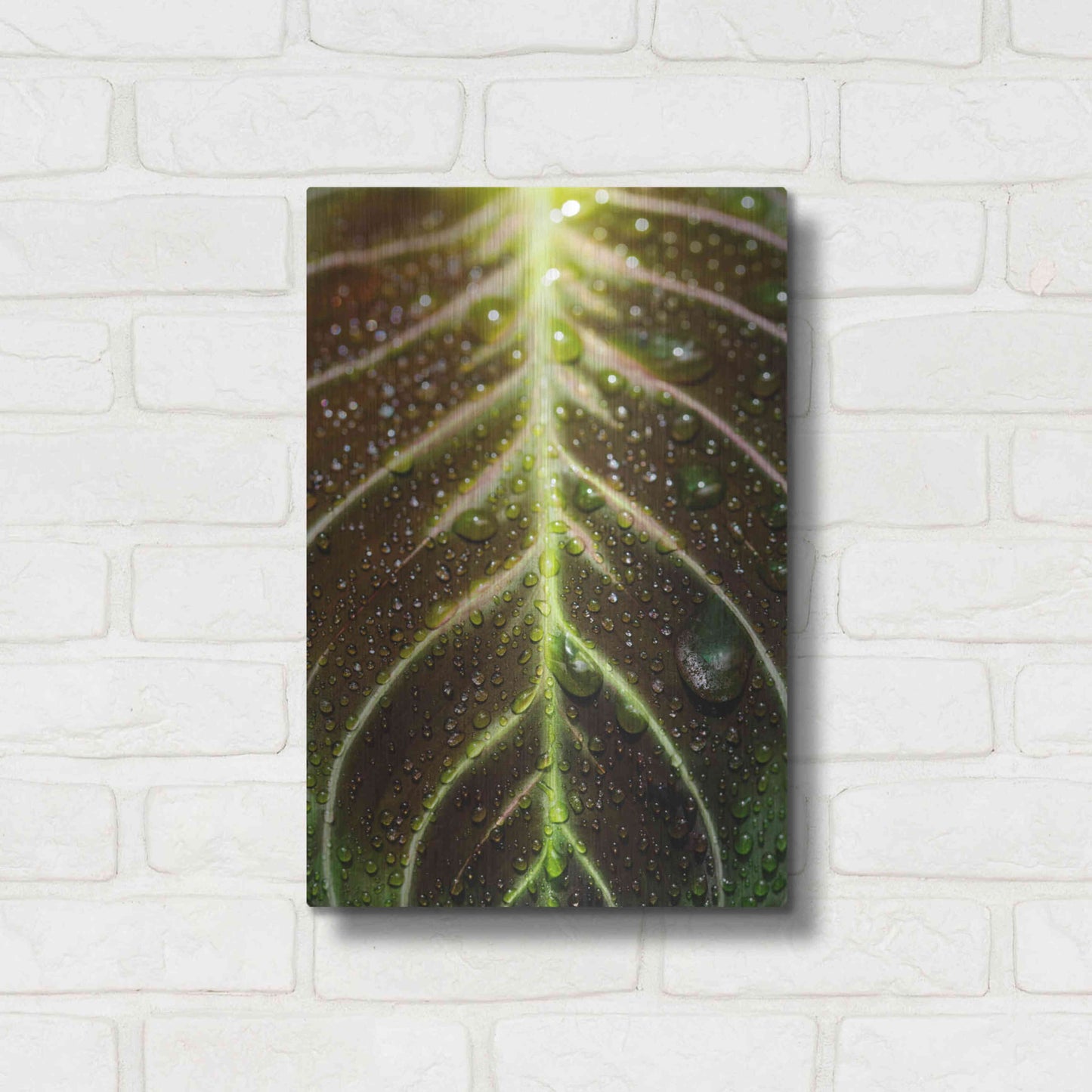 Luxe Metal Art 'Morning Dew' by Epic Portfolio Metal Wall Art,12x16