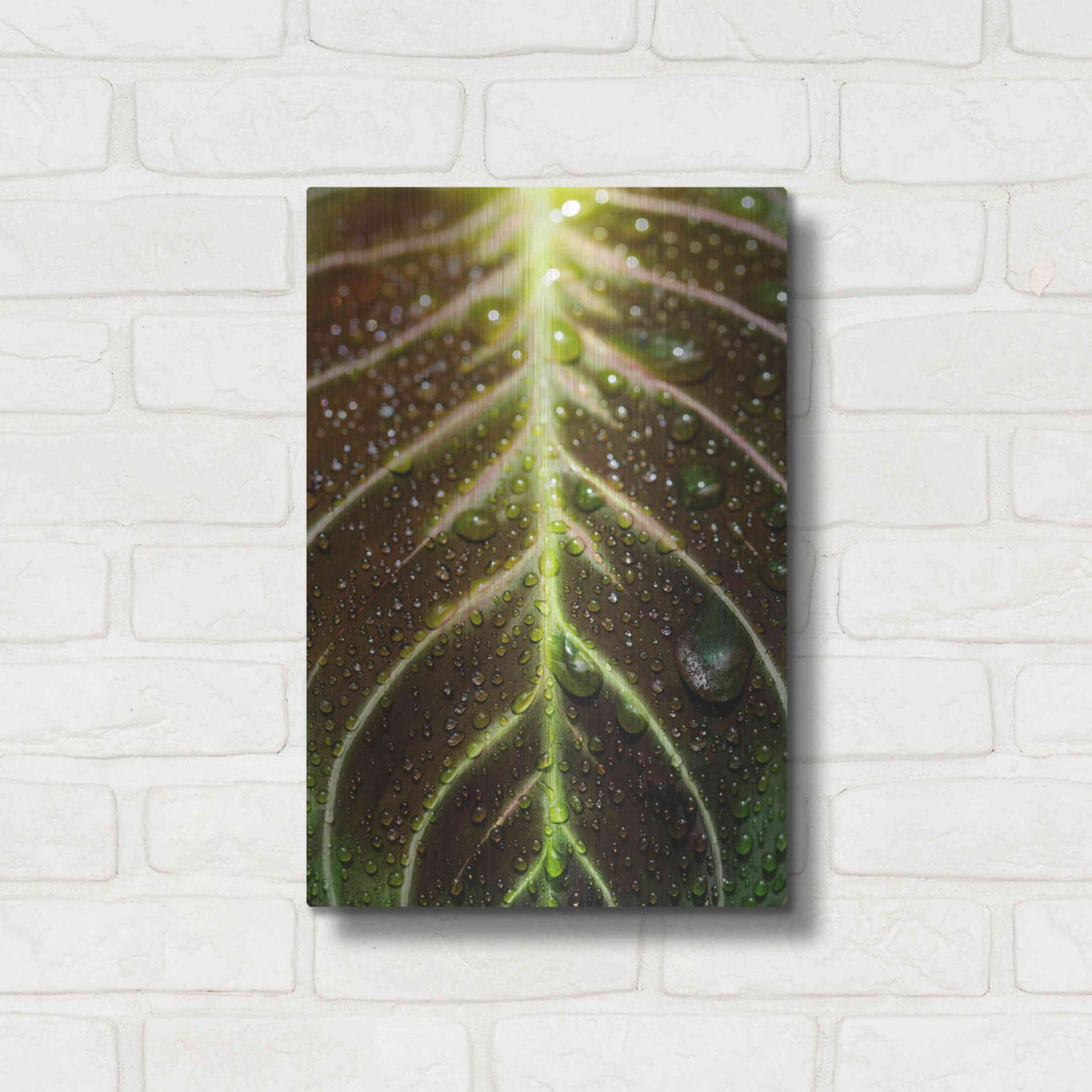 Luxe Metal Art 'Morning Dew' by Epic Portfolio Metal Wall Art,12x16