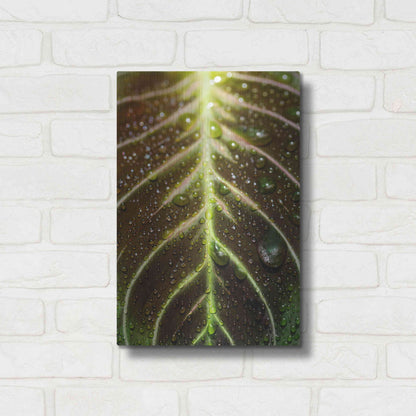 Luxe Metal Art 'Morning Dew' by Epic Portfolio Metal Wall Art,12x16