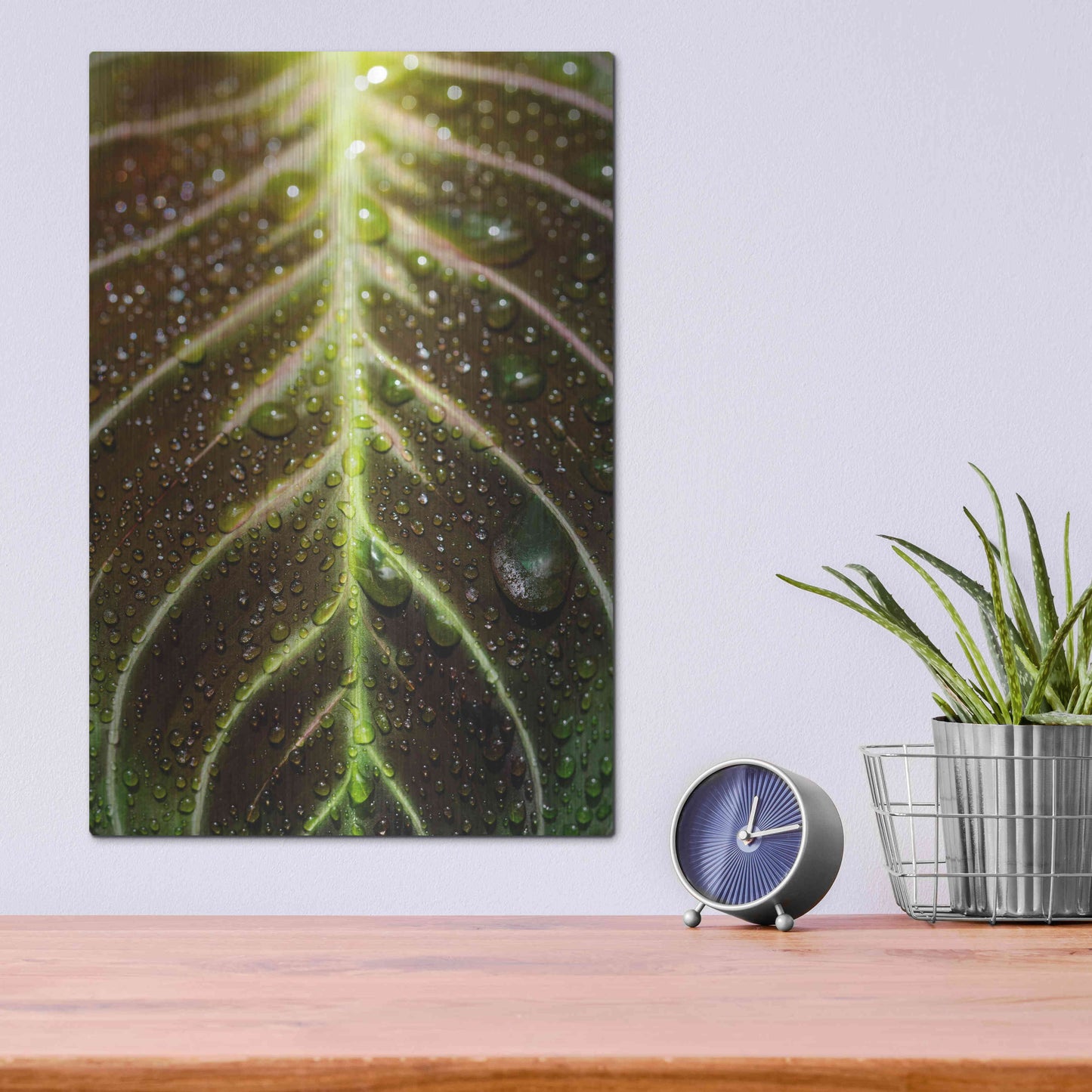 Luxe Metal Art 'Morning Dew' by Epic Portfolio Metal Wall Art,12x16