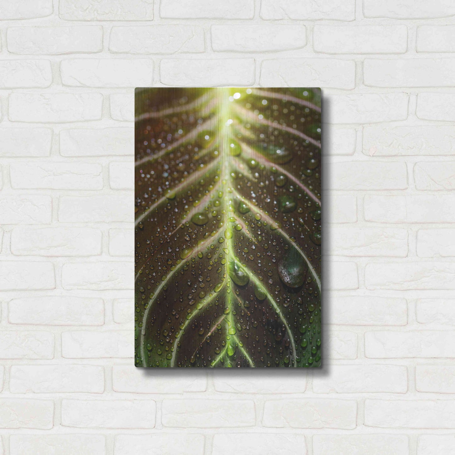 Luxe Metal Art 'Morning Dew' by Epic Portfolio Metal Wall Art,16x24