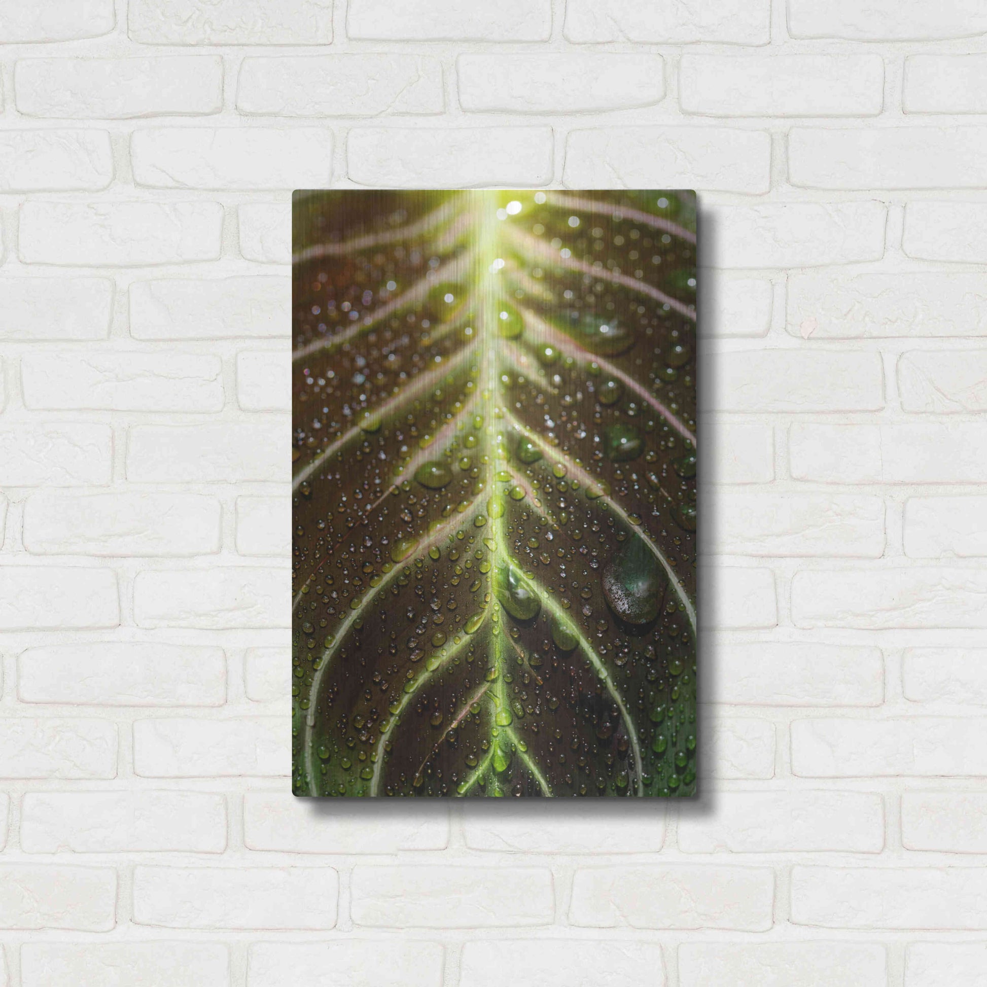 Luxe Metal Art 'Morning Dew' by Epic Portfolio Metal Wall Art,16x24