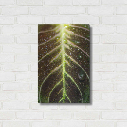 Luxe Metal Art 'Morning Dew' by Epic Portfolio Metal Wall Art,16x24