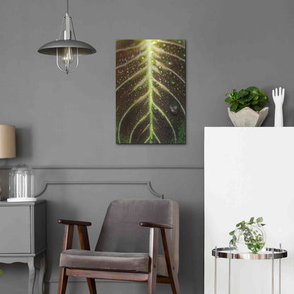 Luxe Metal Art 'Morning Dew' by Epic Portfolio Metal Wall Art,16x24