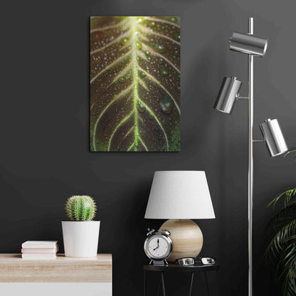 Luxe Metal Art 'Morning Dew' by Epic Portfolio Metal Wall Art,16x24