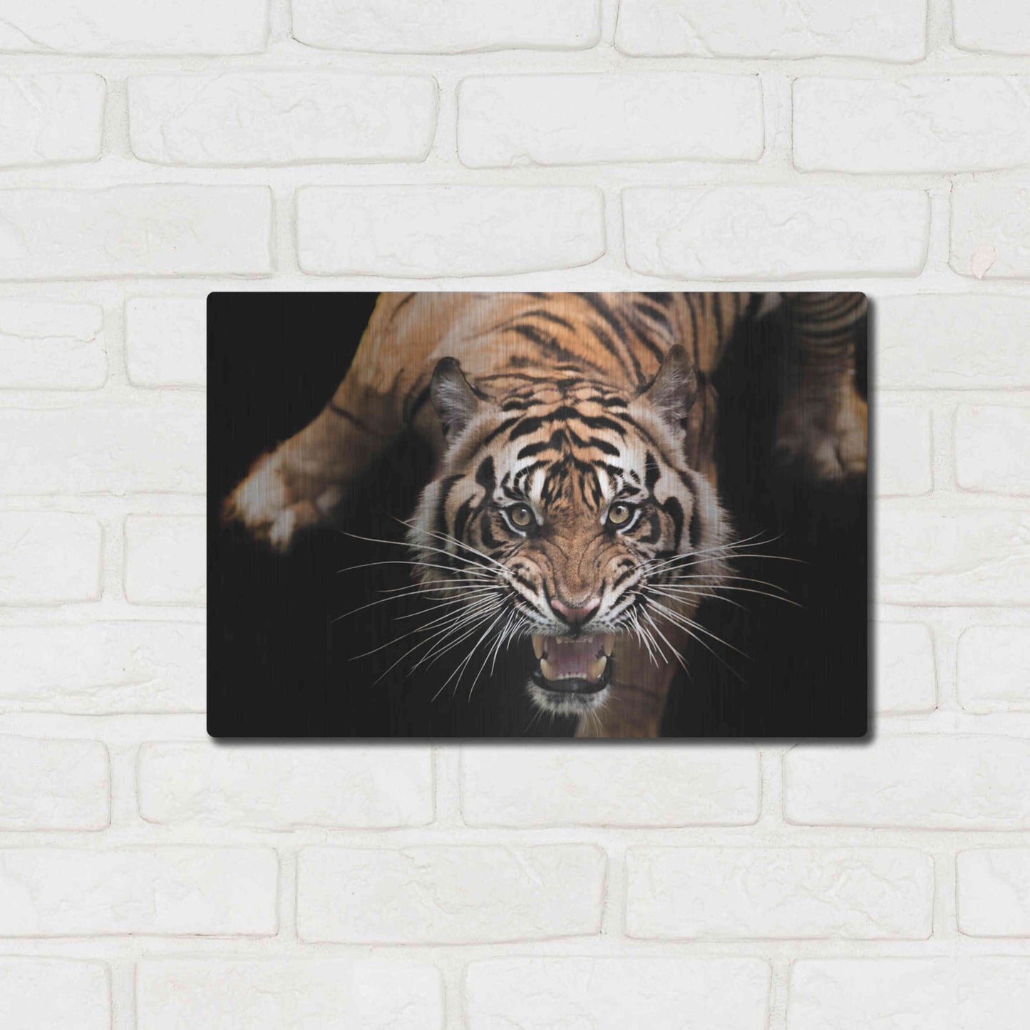 Luxe Metal Art 'Nice Kitty' by Epic Portfolio Metal Wall Art,16x12