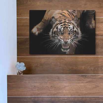 Luxe Metal Art 'Nice Kitty' by Epic Portfolio Metal Wall Art,16x12