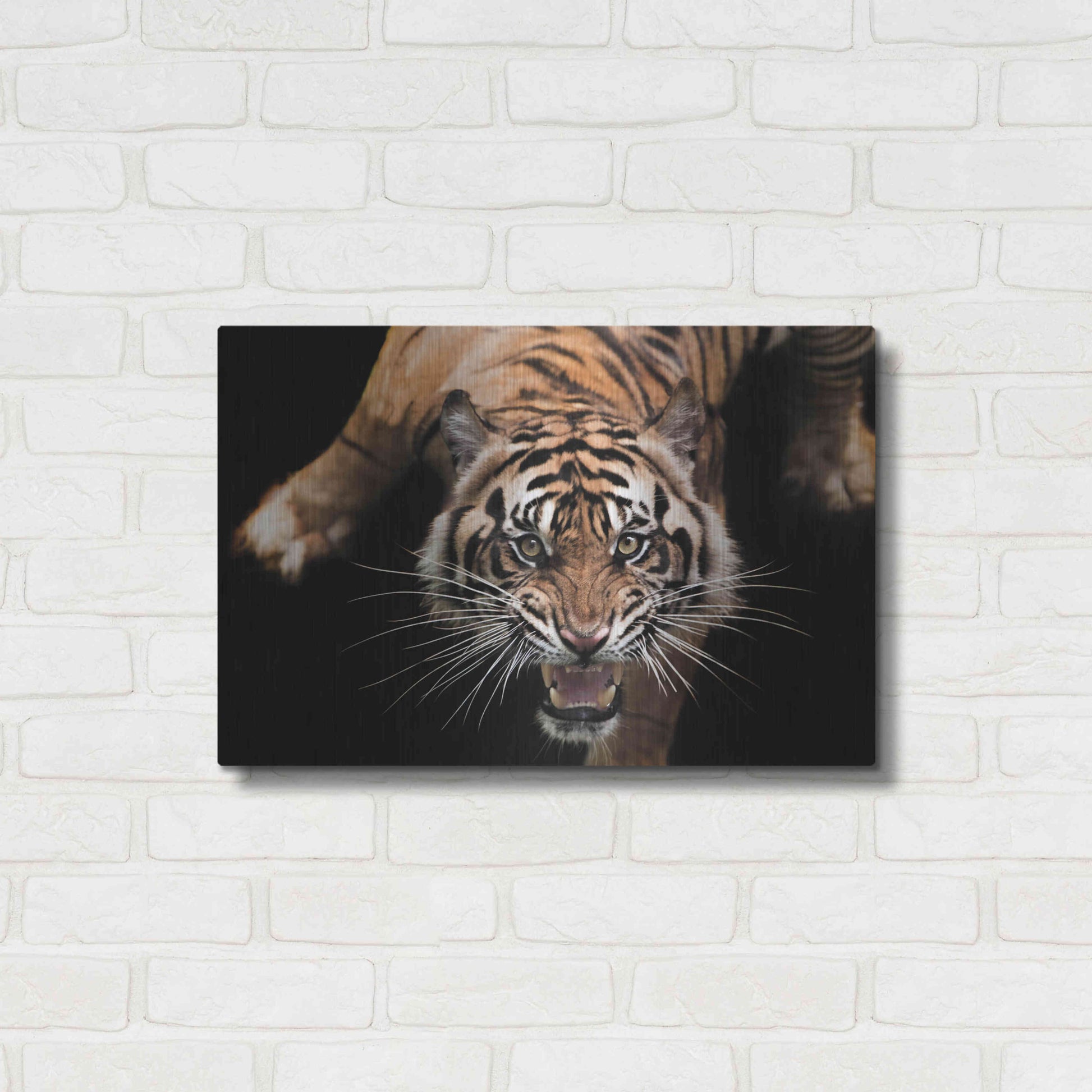 Luxe Metal Art 'Nice Kitty' by Epic Portfolio Metal Wall Art,24x16