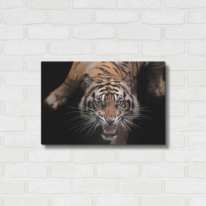 Luxe Metal Art 'Nice Kitty' by Epic Portfolio Metal Wall Art,24x16