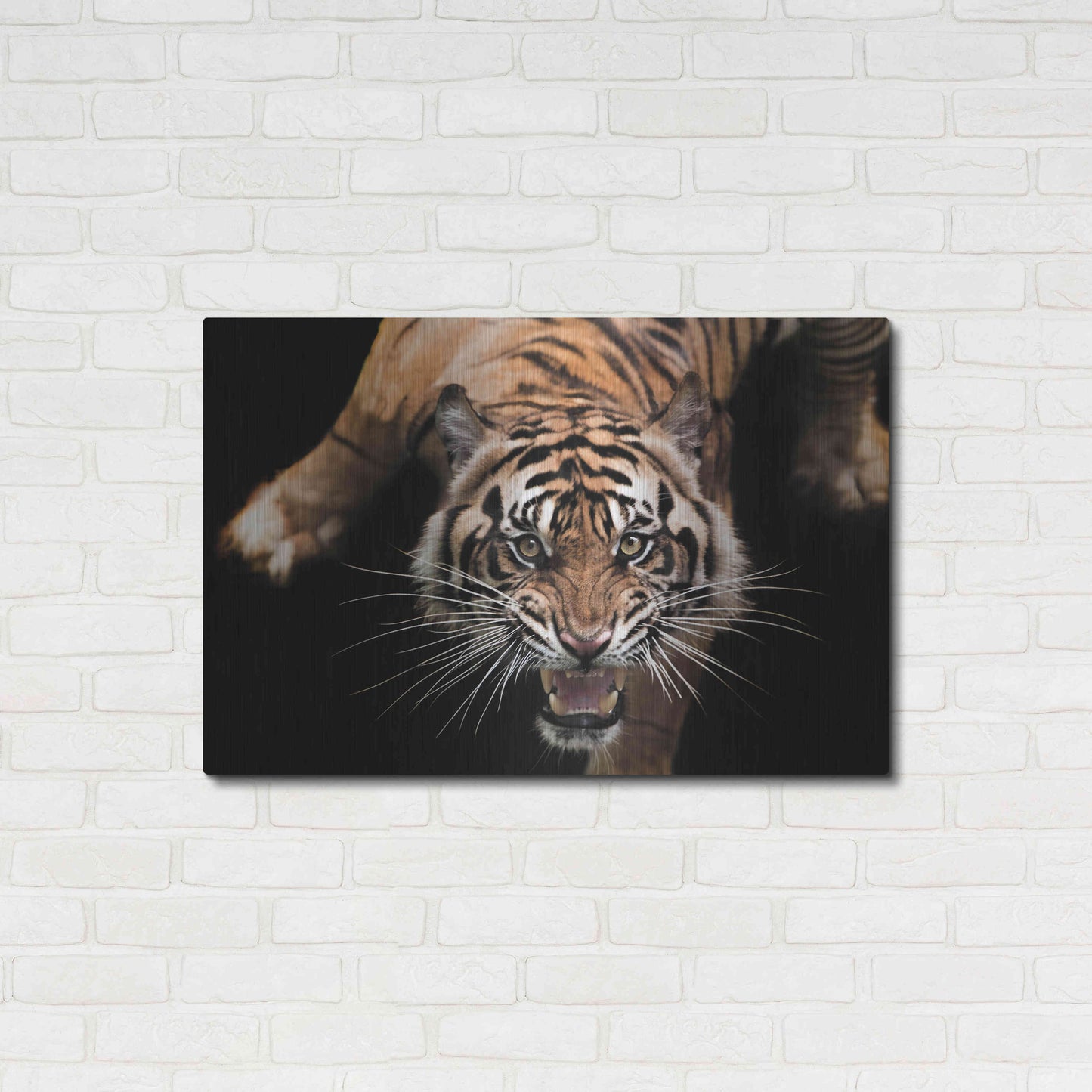 Luxe Metal Art 'Nice Kitty' by Epic Portfolio Metal Wall Art,36x24
