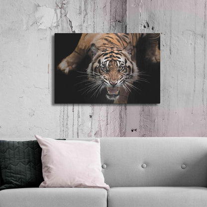 Luxe Metal Art 'Nice Kitty' by Epic Portfolio Metal Wall Art,36x24