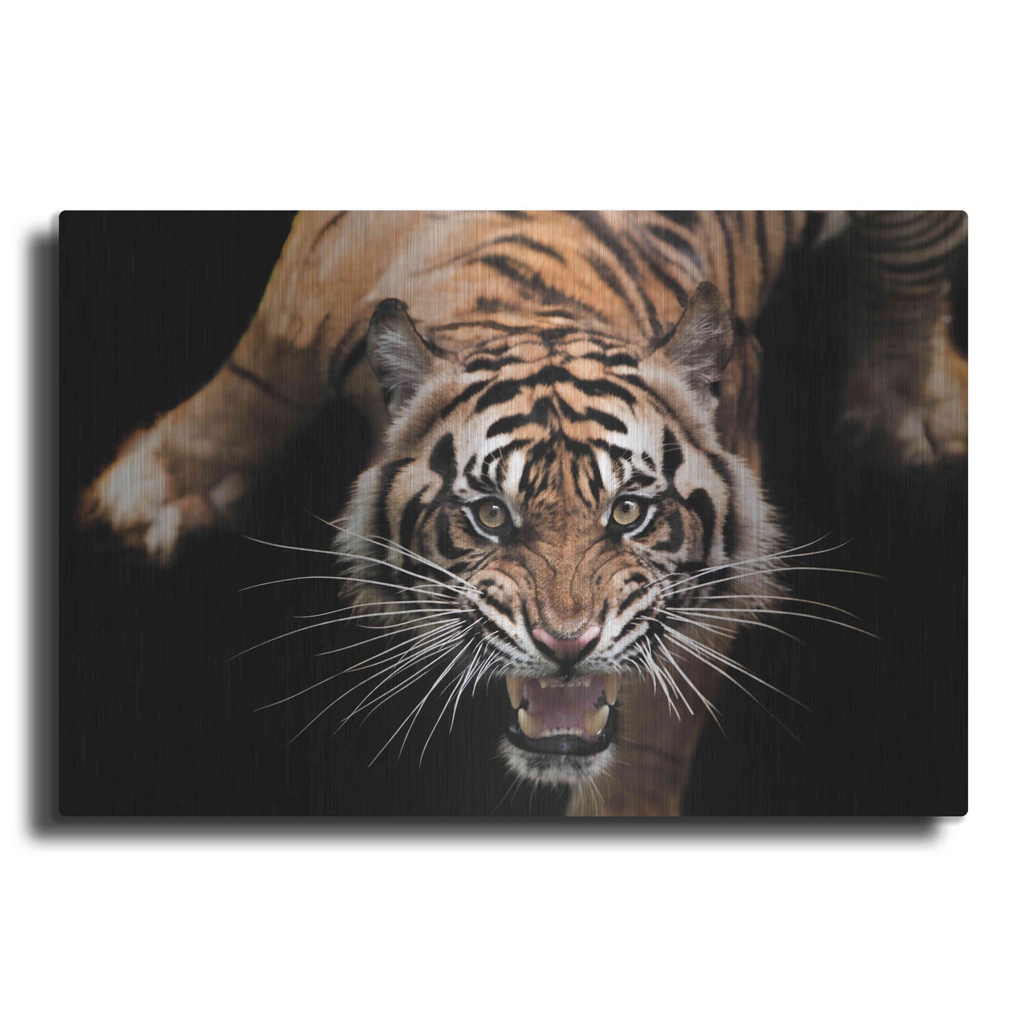 Luxe Metal Art 'Nice Kitty' by Epic Portfolio Metal Wall Art