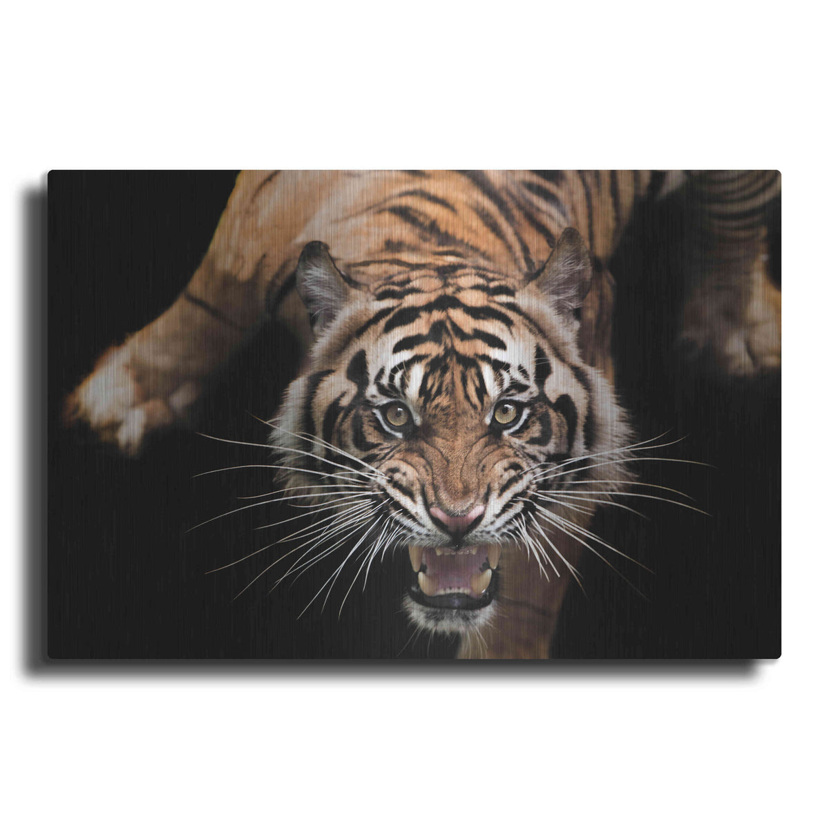 Luxe Metal Art 'Nice Kitty' by Epic Portfolio Metal Wall Art