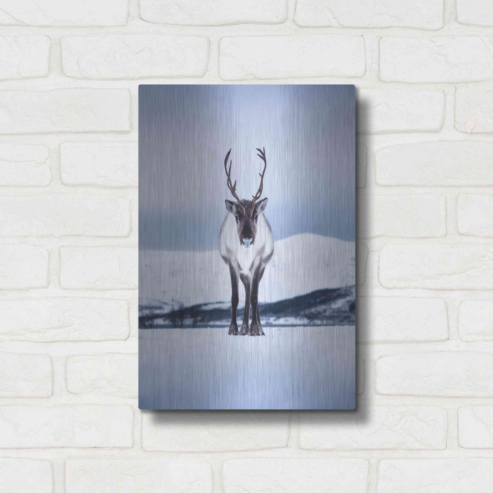 Luxe Metal Art 'Norwegian Raindeer' by Epic Portfolio Metal Wall Art,12x16