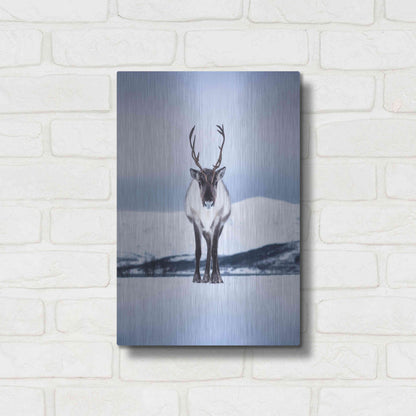 Luxe Metal Art 'Norwegian Raindeer' by Epic Portfolio Metal Wall Art,12x16
