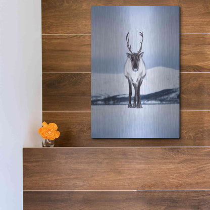 Luxe Metal Art 'Norwegian Raindeer' by Epic Portfolio Metal Wall Art,12x16