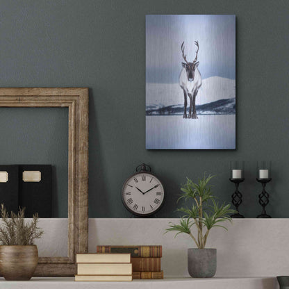 Luxe Metal Art 'Norwegian Raindeer' by Epic Portfolio Metal Wall Art,12x16