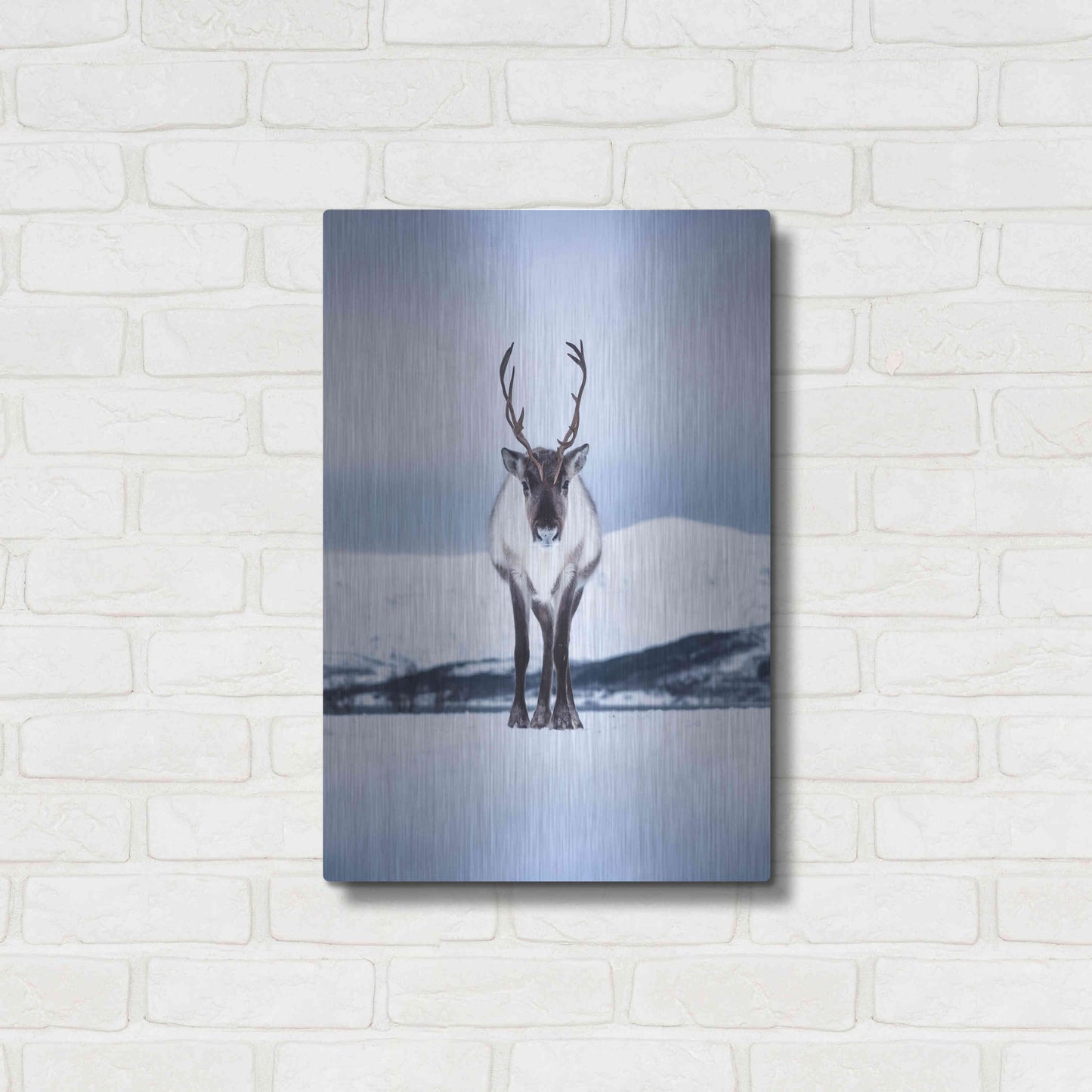 Luxe Metal Art 'Norwegian Raindeer' by Epic Portfolio Metal Wall Art,16x24