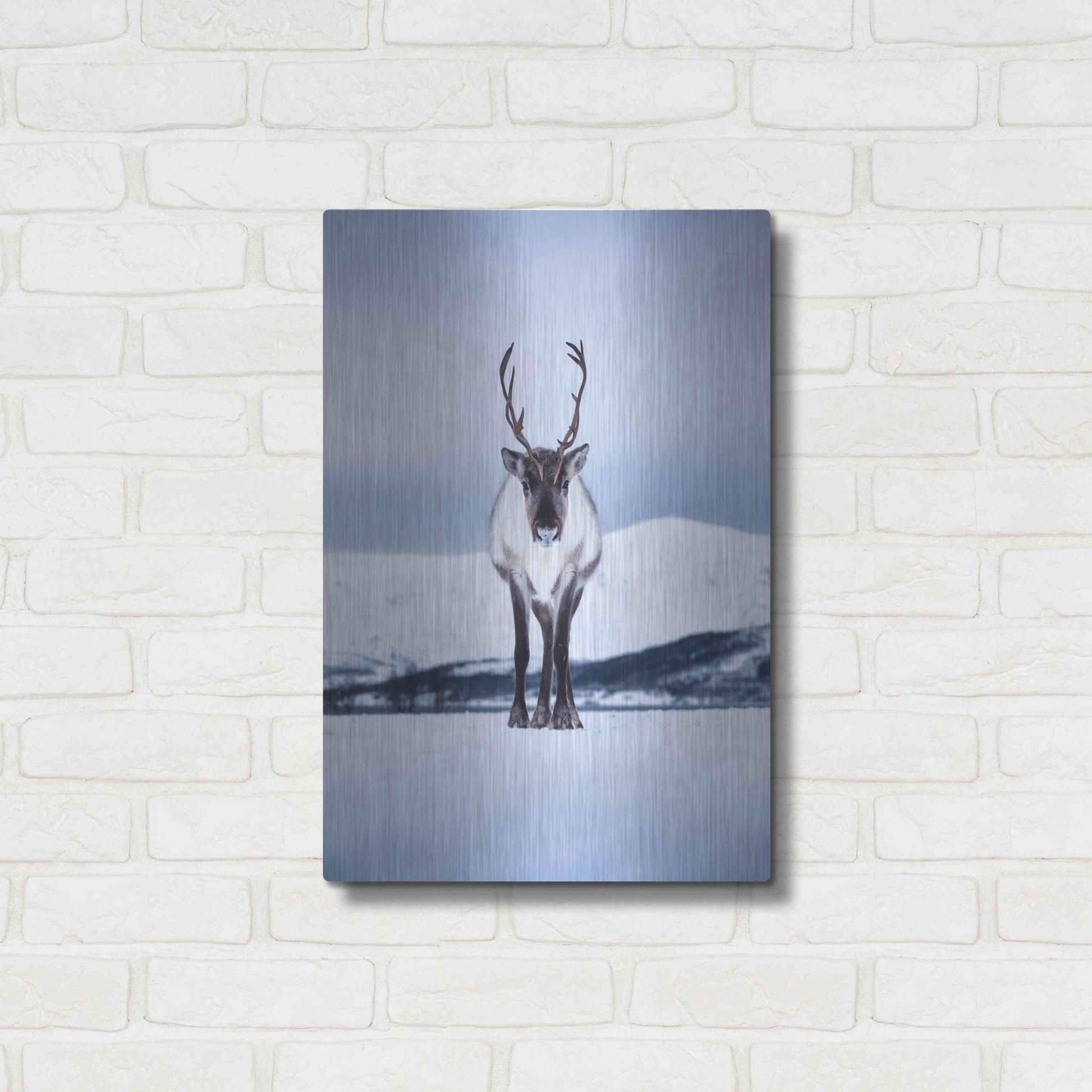Luxe Metal Art 'Norwegian Raindeer' by Epic Portfolio Metal Wall Art,16x24