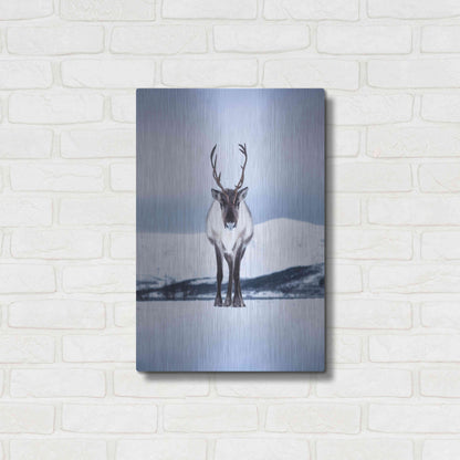 Luxe Metal Art 'Norwegian Raindeer' by Epic Portfolio Metal Wall Art,16x24