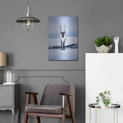 Luxe Metal Art 'Norwegian Raindeer' by Epic Portfolio Metal Wall Art,16x24