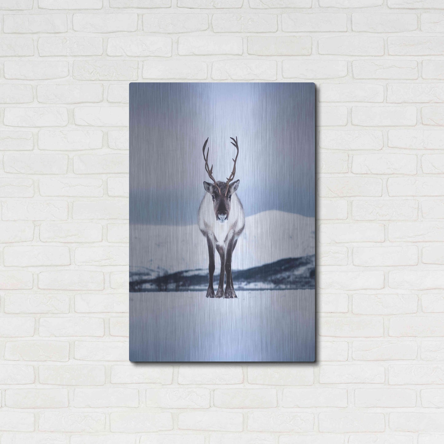 Luxe Metal Art 'Norwegian Raindeer' by Epic Portfolio Metal Wall Art,24x36