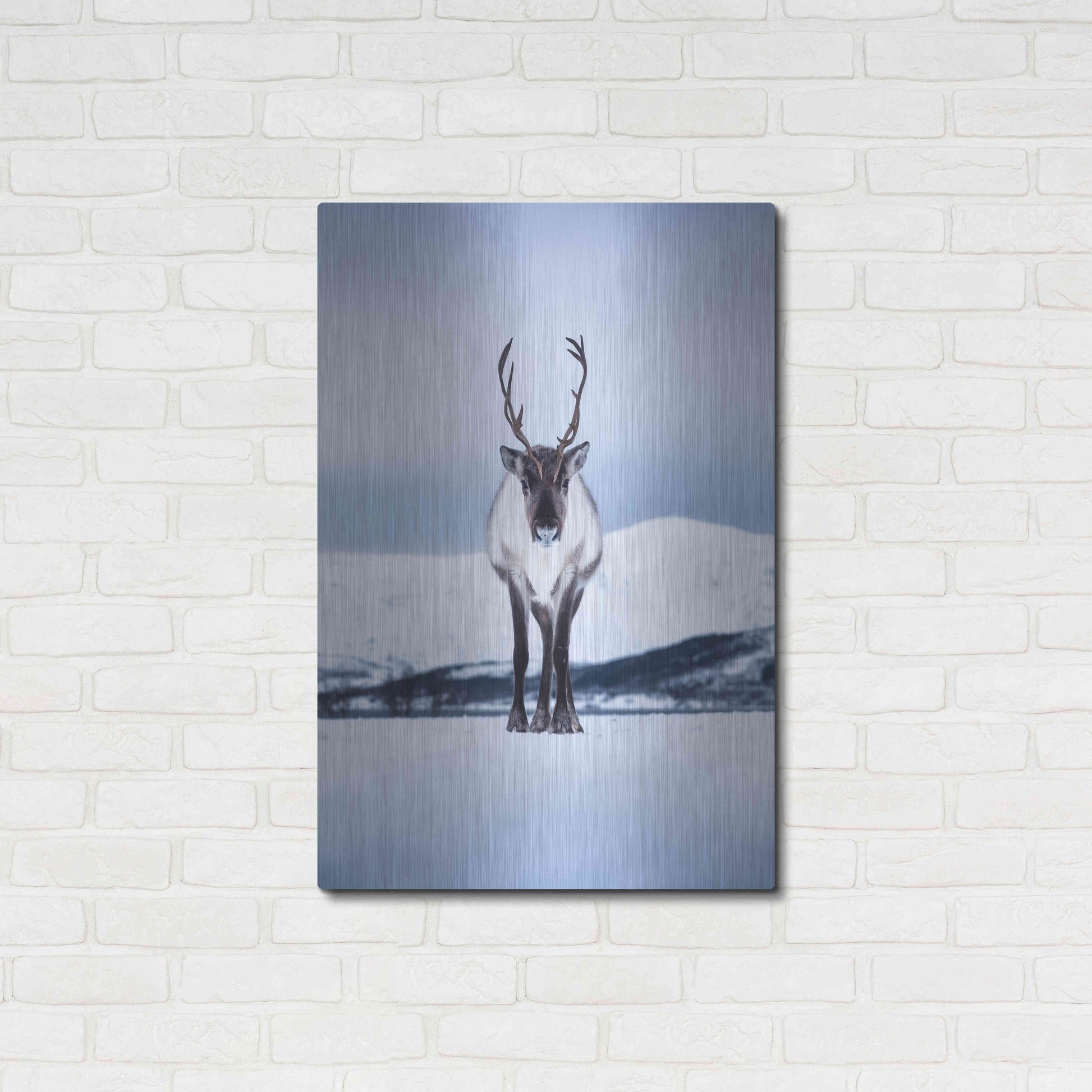 Luxe Metal Art 'Norwegian Raindeer' by Epic Portfolio Metal Wall Art,24x36