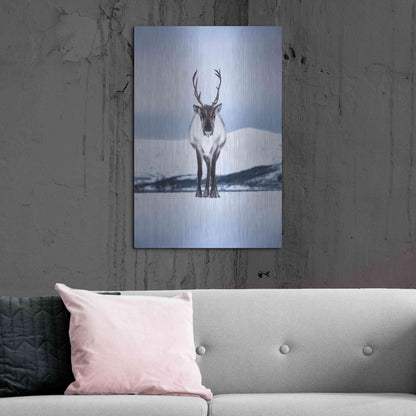 Luxe Metal Art 'Norwegian Raindeer' by Epic Portfolio Metal Wall Art,24x36