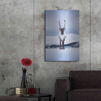 Luxe Metal Art 'Norwegian Raindeer' by Epic Portfolio Metal Wall Art,24x36