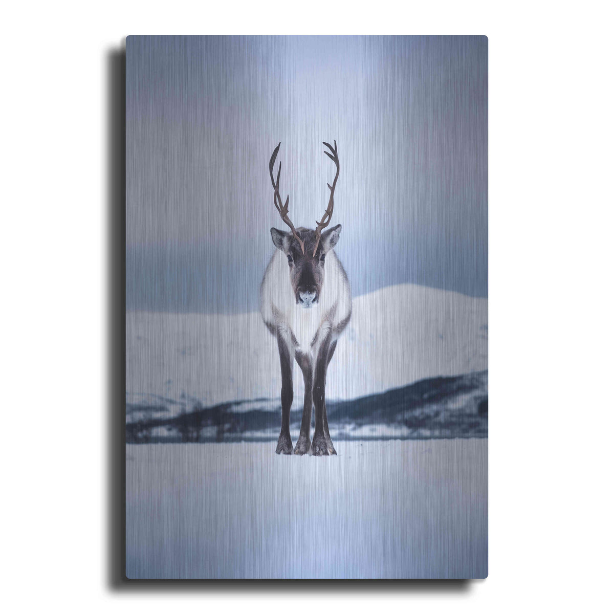 Luxe Metal Art 'Norwegian Raindeer' by Epic Portfolio Metal Wall Art