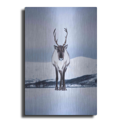 Luxe Metal Art 'Norwegian Raindeer' by Epic Portfolio Metal Wall Art