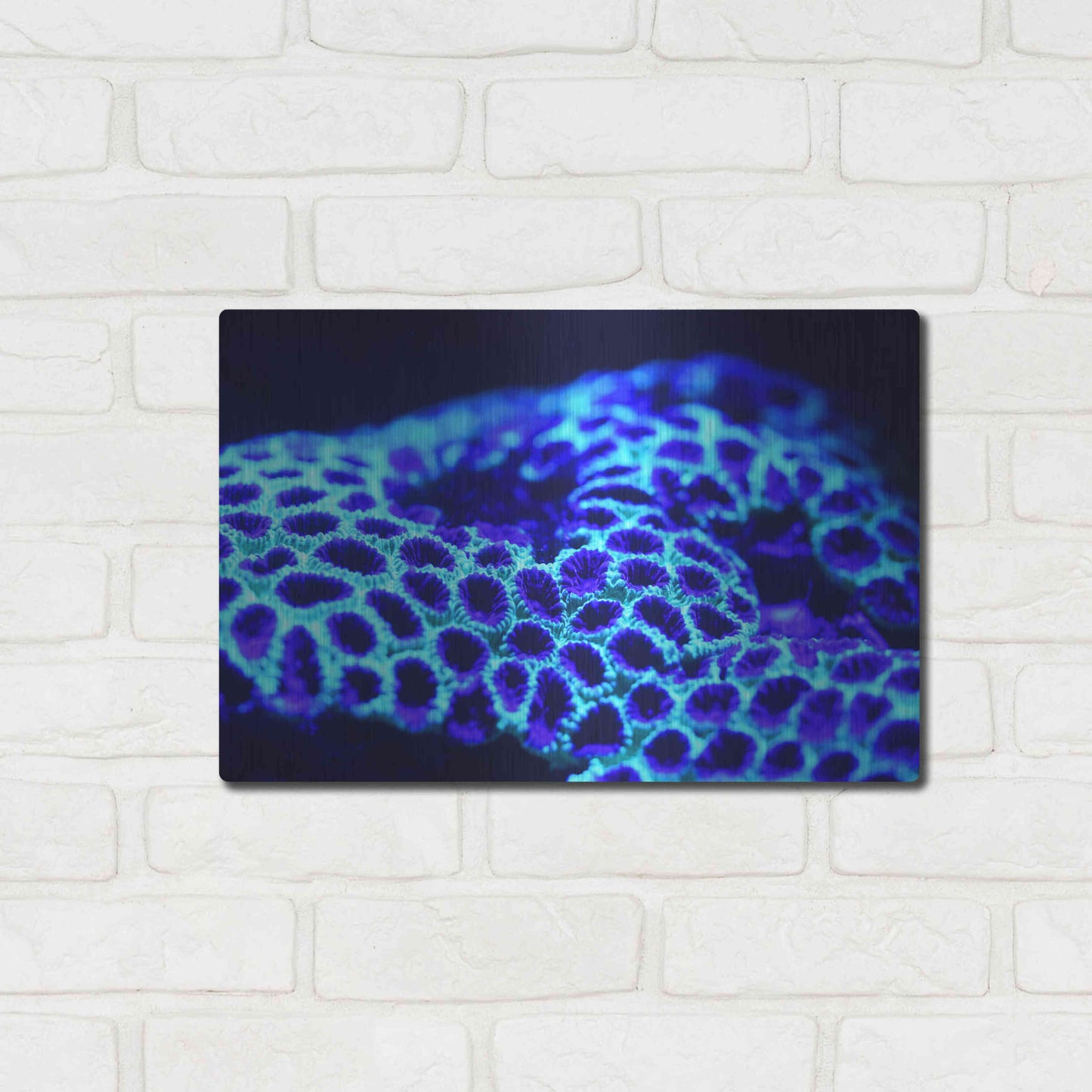 Luxe Metal Art 'Ocean Carpet' by Epic Portfolio Metal Wall Art,16x12