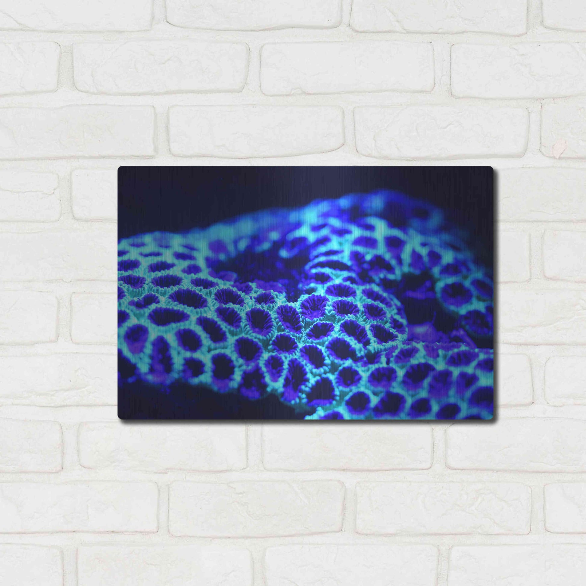 Luxe Metal Art 'Ocean Carpet' by Epic Portfolio Metal Wall Art,16x12